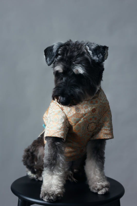 Autumn Golden Dog Vest 秋穗金色狗狗馬甲