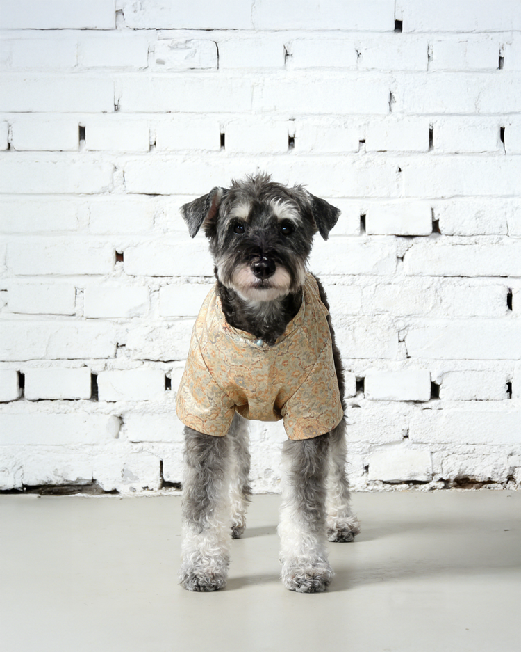 Autumn Golden Dog Vest 秋穗金色狗狗馬甲
