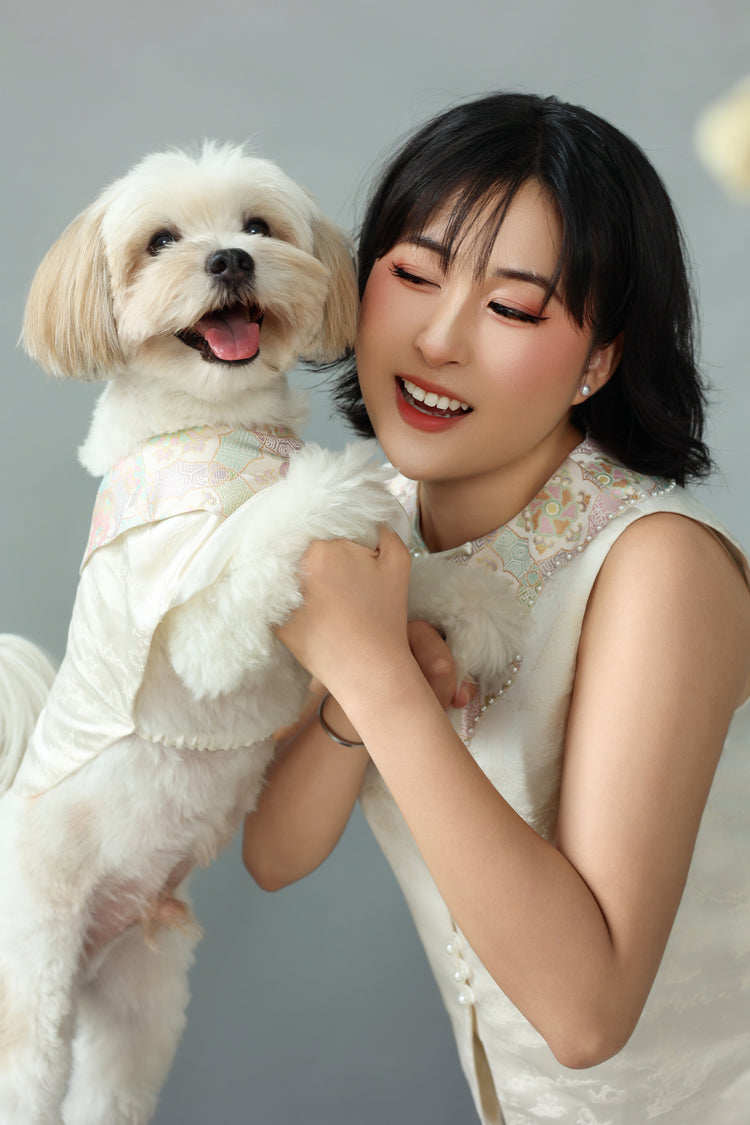 Winter Frost White Pet Vest 冬霜白色狗狗馬甲