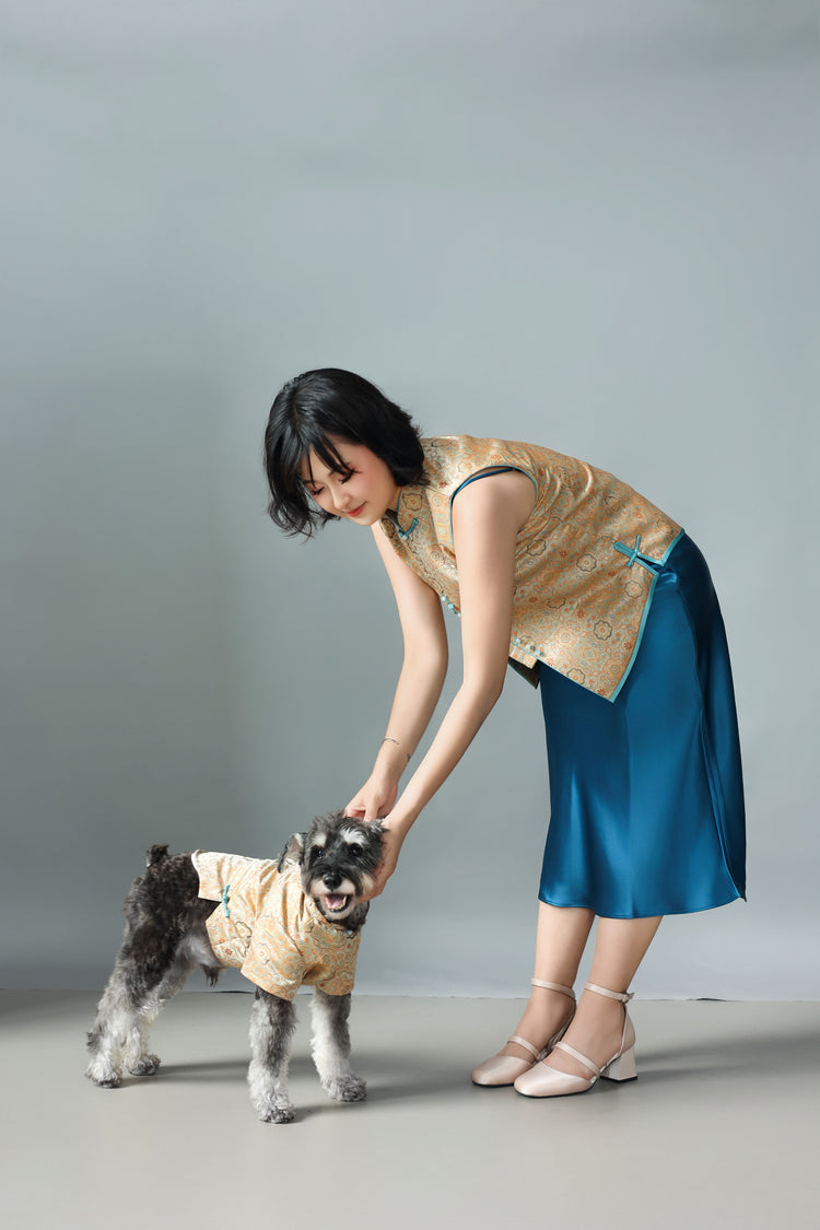 Autumn Golden Dog Vest 秋穗金色狗狗馬甲