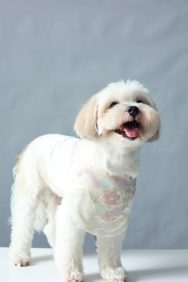 Winter Frost White Pet Vest 冬霜白色狗狗馬甲