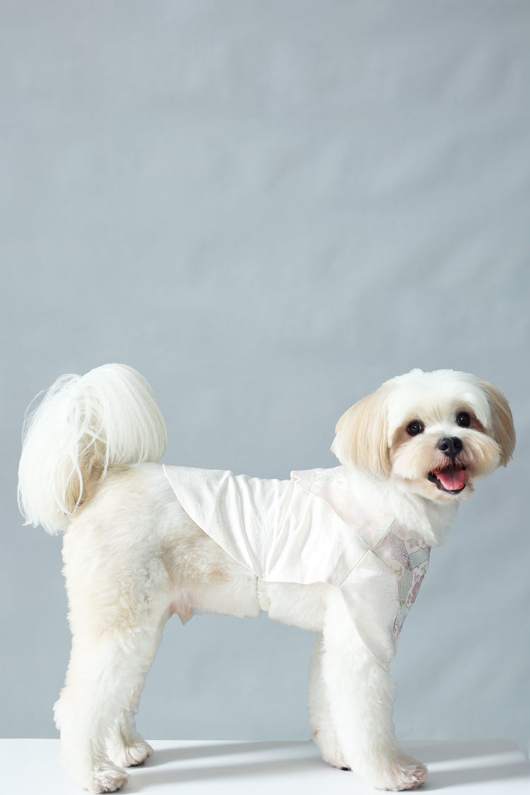 Winter Frost White Pet Vest 冬霜白色狗狗馬甲