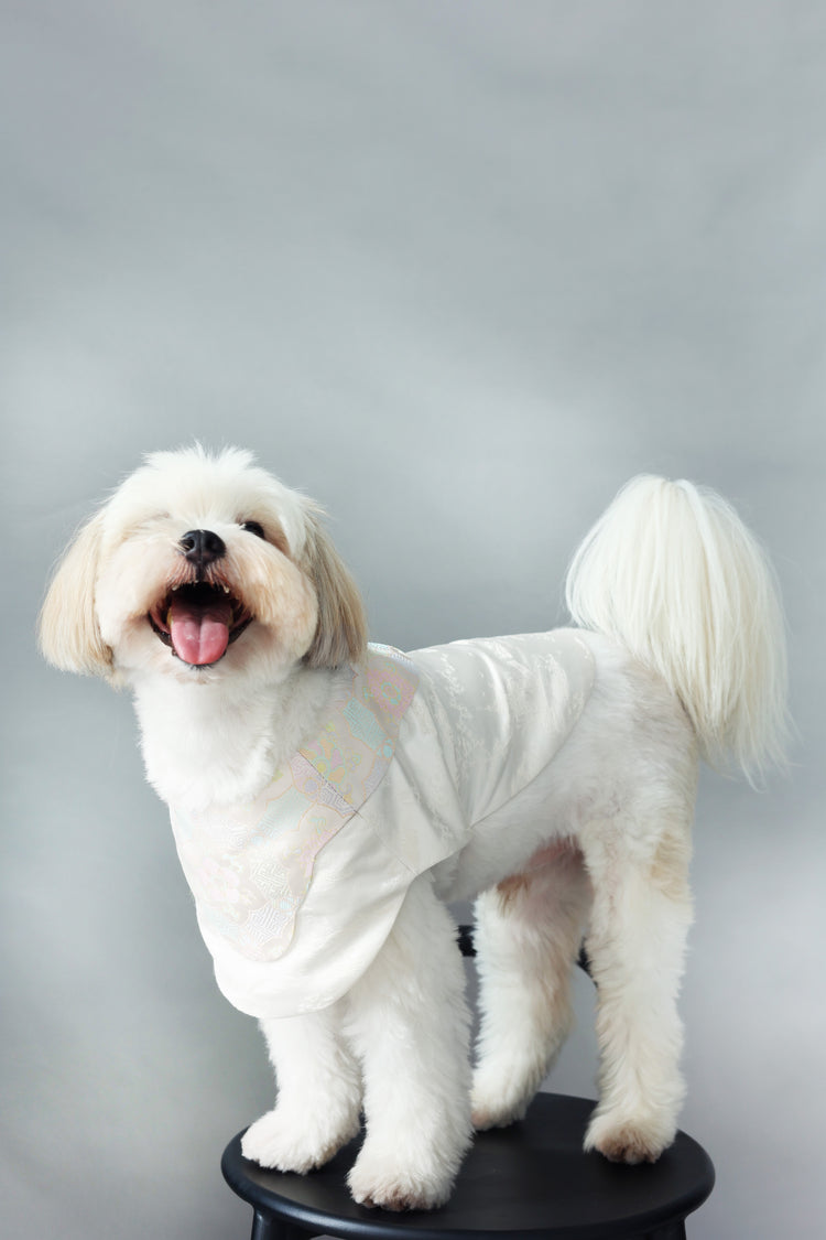 Winter Frost White Pet Vest 冬霜白色狗狗馬甲