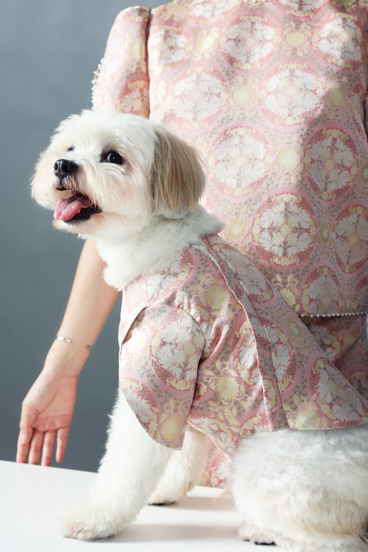 Spring Bud Dog Vest 春蕾粉色狗狗馬甲