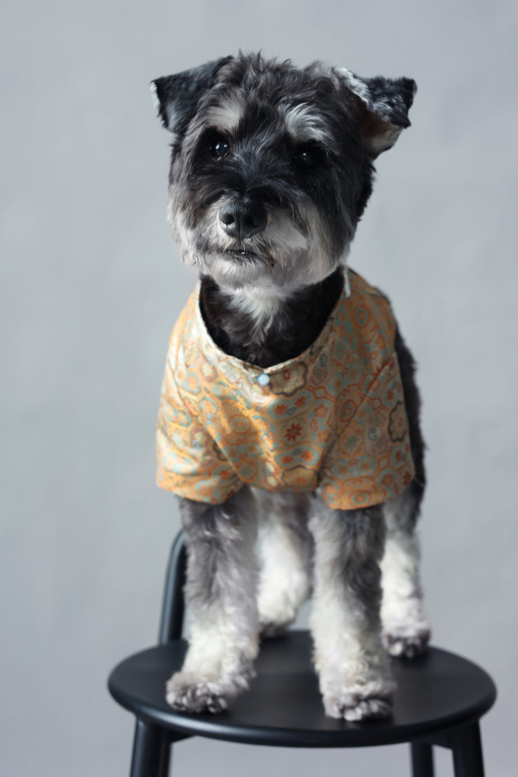 Autumn Golden Dog Vest 秋穗金色狗狗馬甲