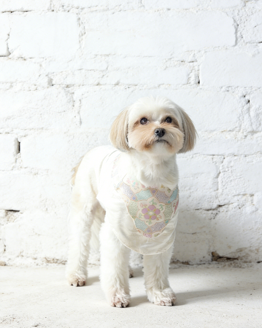 Winter Frost White Pet Vest 冬霜白色狗狗馬甲