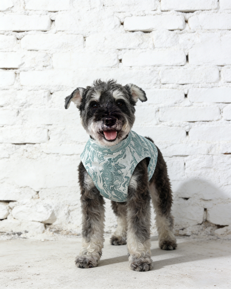 Summer Solstice Blue Dog Vest 夏至藍色狗狗馬甲