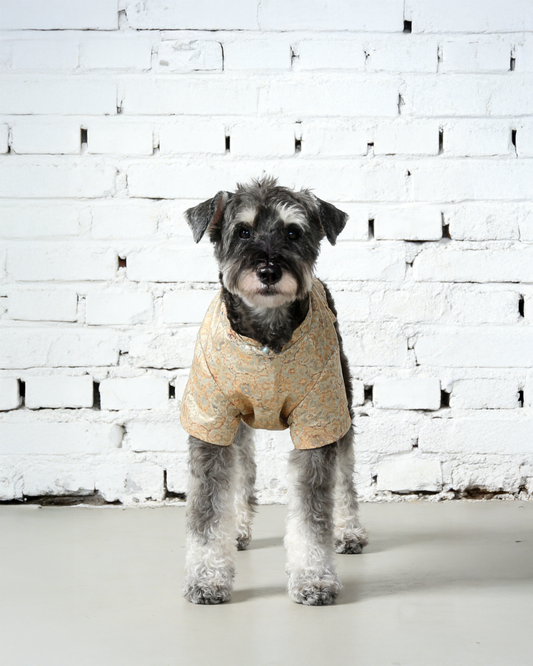 Autumn Golden Dog Vest 秋穗金色狗狗馬甲